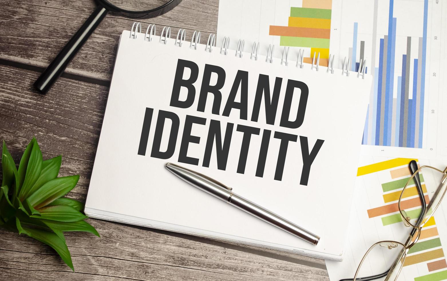 Crafting Your Brand Identity: Essential Tips for Visual Artists